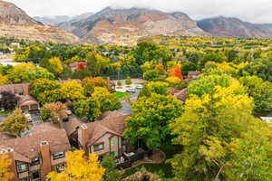 Drone / aerial view of the nearby mountains