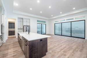 Kitchen with a center island with sink, dark brown cabinetry, sink, and light hardwood / wood-style flooring