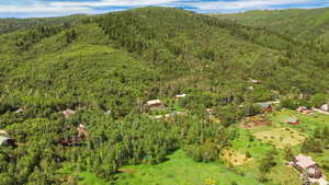 Bird's eye view featuring a mountain view