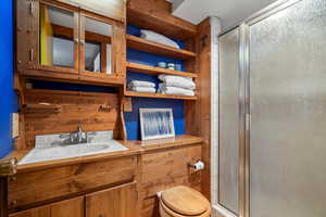 Bathroom with toilet, an enclosed shower, and vanity