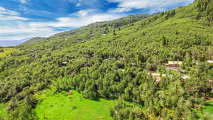 Drone / aerial view with a mountain view