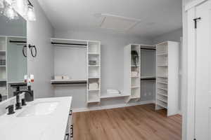 Bathroom with vanity and hardwood / wood-style flooring