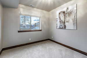 View of carpeted spare room