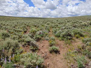 View of landscape