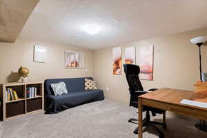 Office area featuring carpet floors and a textured ceiling