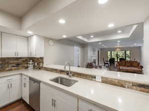 Kitchen with sink, stainless steel dishwasher, dark hardwood / wood-style floors, a tray ceiling, and white cabinetry