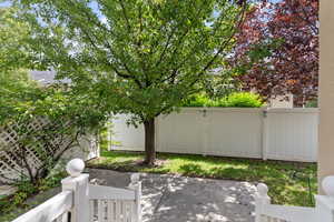 View of yard featuring a patio