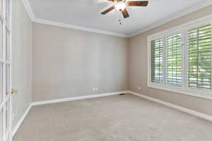 Carpeted spare room featuring ceiling fan and crown molding