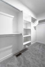 Spacious closet with dark colored carpet