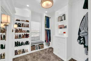 Walk in closet with carpet