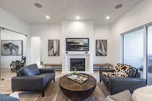 Living room featuring wood-type flooring