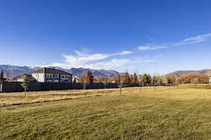 View of yard with a mountain view and a rural view