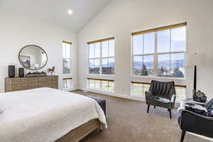 Carpeted bedroom featuring a mountain view, high vaulted ceiling, and multiple windows