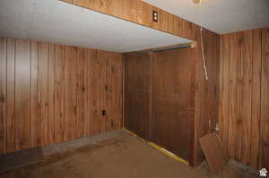 Basement featuring carpet floors and wooden walls