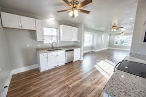 Kitchen featuring plenty of natural light, dishwasher, and white cabinetry