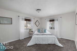 Owners Bedroom featuring dark colored carpet, a textured ceiling, and multiple windows