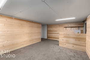 Basement featuring wood walls and carpet