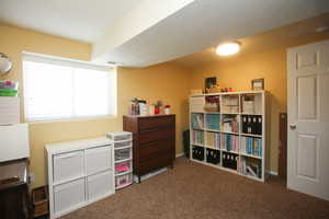 Miscellaneous room featuring dark carpet and a textured ceiling