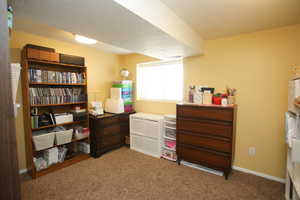 Misc room featuring carpet flooring and a textured ceiling