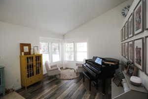 Sitting room featuring dark hardwood / wood-style floors and high vaulted ceiling