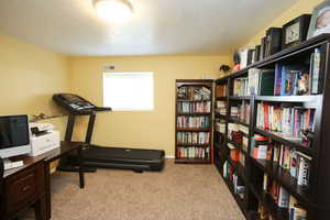 Workout room featuring a textured ceiling and light carpet