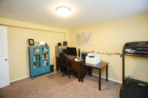 Carpeted home office with a textured ceiling