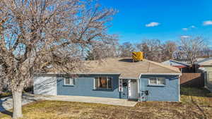 Front view of house with a lawn and large tree