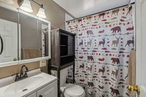 Hall bathroom featuring a tub/shower, vanity, and toilet