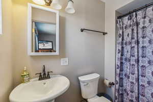 Primary en suite bathroom featuring walk in shower, sink, and toilet