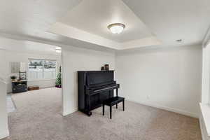 Misc room featuring a tray ceiling, carpet, and a textured ceiling