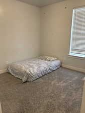 Bedroom featuring carpet floors