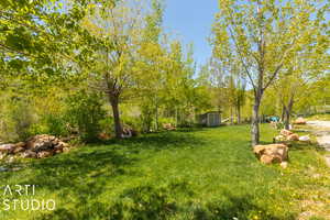 View of grassy yard with a shed and an outbuilding