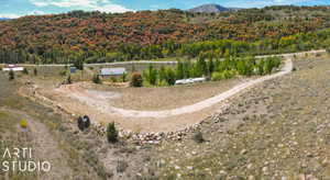 Bird's eye view of a heavily wooded area and a mountain backdrop