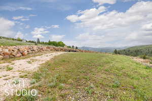View of yard with a view of rural / pastoral area and a mountain view