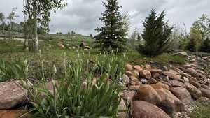 Fully landscaped with abundant Iris, Aspens, and Pine.