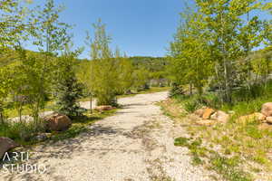 View of road