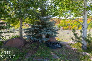 Landscaped