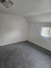 Additional living space featuring carpet flooring, lofted ceiling, and a textured ceiling