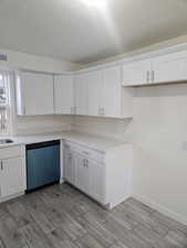 Kitchen featuring white cabinets and dishwasher