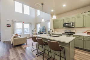 Kitchen featuring sink in island, stainless steel appliances, green cabinets, gold hardware, decorative light fixtures, a walk in pantry, and hardwood / wood-style flooring