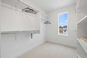 Spacious closet featuring carpet