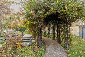 View of side yard leading to the back.