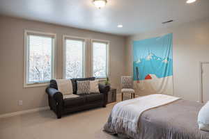 Bedroom featuring carpet flooring and multiple windows