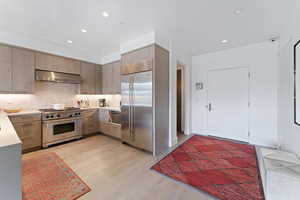 Kitchen featuring backsplash, high quality appliances, light hardwood / wood-style flooring, and exhaust hood