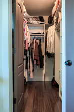 Spacious closet featuring dark hardwood / wood-style floors