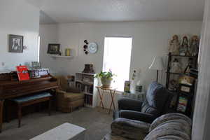 Carpeted living room featuring a textured ceiling