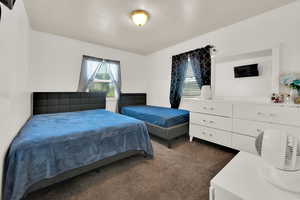 Bedroom featuring multiple windows and dark colored carpet