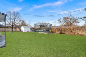 View of yard with a trampoline and a storage unit