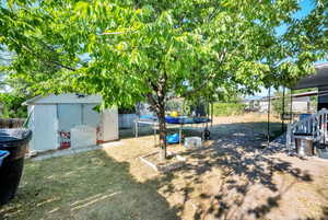 Fenced backyard featuring a trampoline and a shed