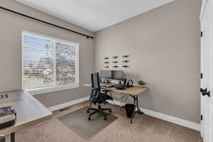 Office space featuring plenty of natural light and carpet floors